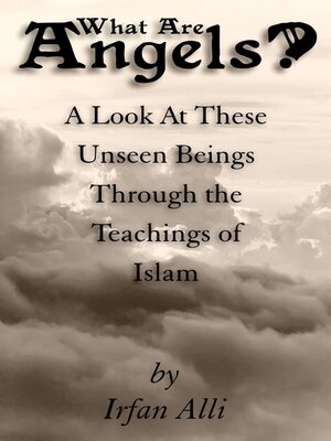 cover image of WHAT ARE ANGELS?